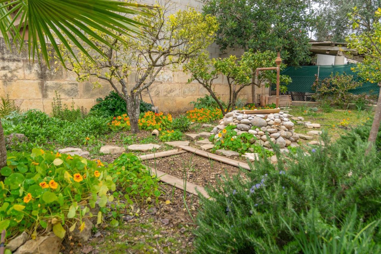 Construcciones Balaguer Villa Mancor del Valle