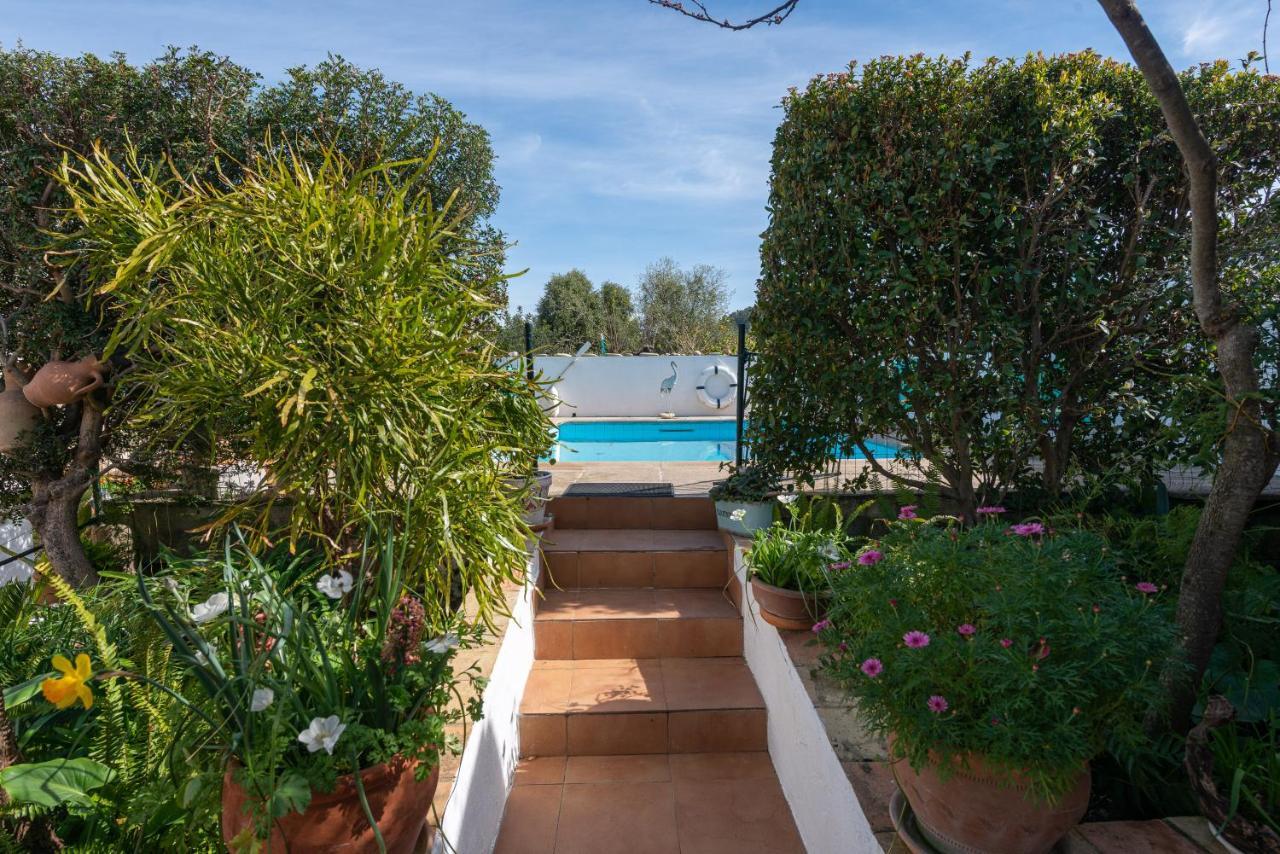 Construcciones Balaguer Villa Mancor del Valle